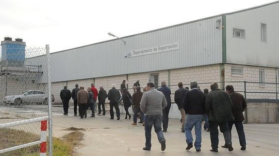 Cooperativistas de Acorex se dirigen a la asamblea que precipitó la salida del consejo y Aceitón.