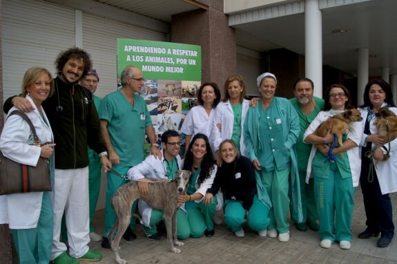 Sanitarios del hospital con algunos perros de la protectora. :: anima