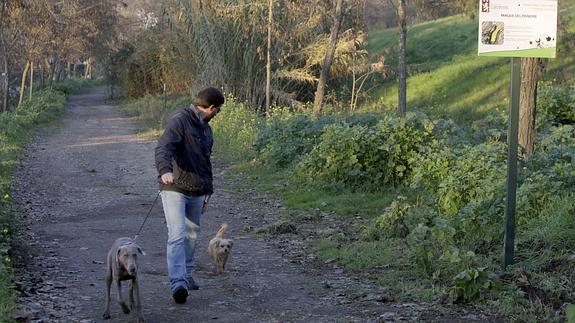 En las áreas para perros de los parques se instalarán bancos y papeleras. 