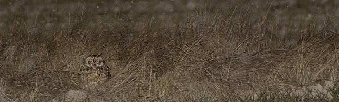 Aguantando el temporal, ganadora del concurso fotográfico en la categoría Jóvenes fotógrafos