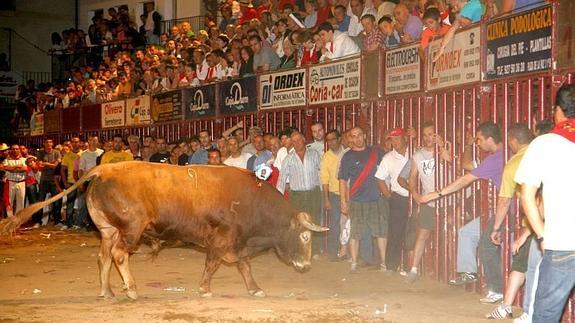 Pide ser indemnizado tras ser cogido por un toro tras resbalar con un vaso