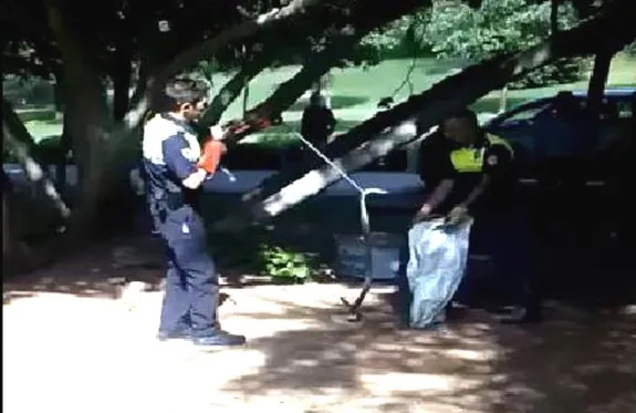 Dos agentes cogen una serpiente en el Parque del Príncipe. :: hoy