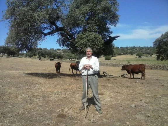 Juan Francisco Rodríguez, con algunas de las vacas que tiene. :: hoy