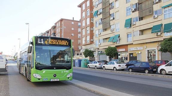Un autobús de la línea 1 en la avenida en donde tuvo lugar el siniestro.:: HOY