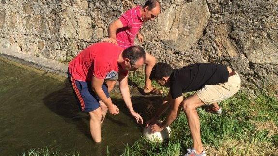 Varios voluntarios sacan la bola del foso de Puerta Pilar. :: Hoy