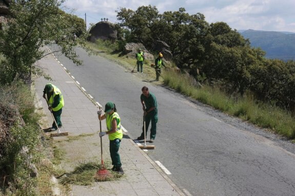 Operarios de la brigada verde en tareas de desbroce de la carretera del Puerto. :: hoy