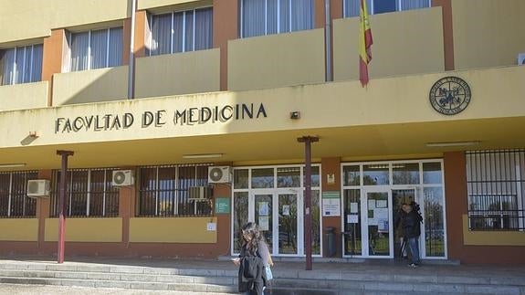 Medicina e Informática, las carreras de la UEx con más salidas laborales