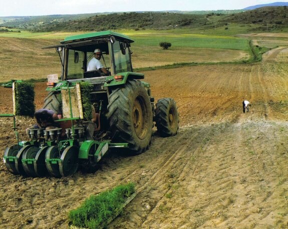 Un agricultor trabaja con un tractor en una finca de la región. :: hoy