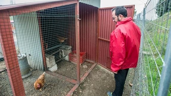 José María García Macías mira una de las gallinas que se salvaron del ataque