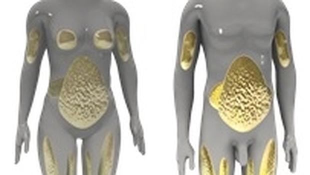 Ocho cosas que desconocías sobre la grasa abdominal