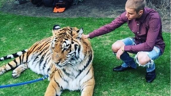 Justin Bieber hace el tigre