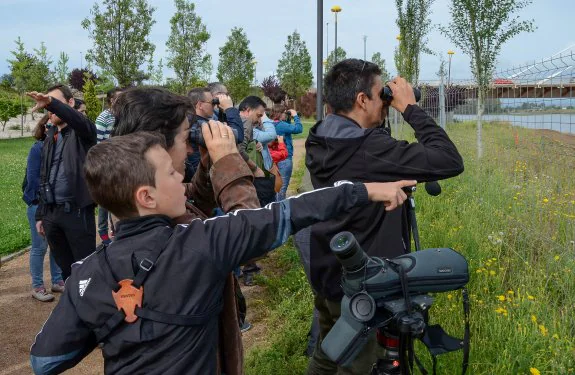 Aficionados a la naturaleza ayer por el Paseo Fluvial durante la visita guiada por un biólogo. :: Casimiro M.