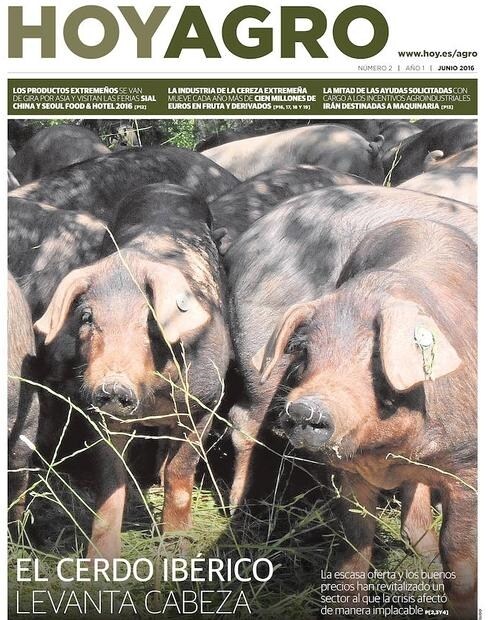 HOYAgro destaca el empuje del sector del cerdo ibérico