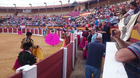 Coso de las Golondrinas de Plasencia:: HOY