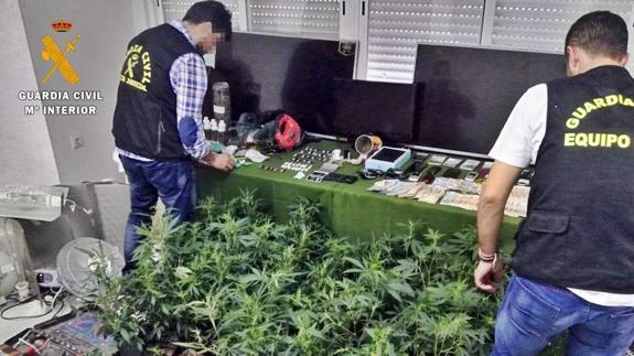 Efectos incautados en la operación.