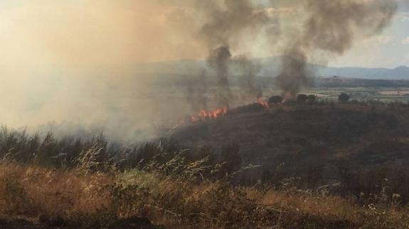 Controlado el incendio de Portaje y estima en 143 las hectáreas afectadas