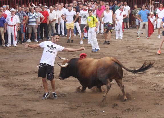 'Malasangre' con uno de los recortadores en la plaza de Coria. :: karpint