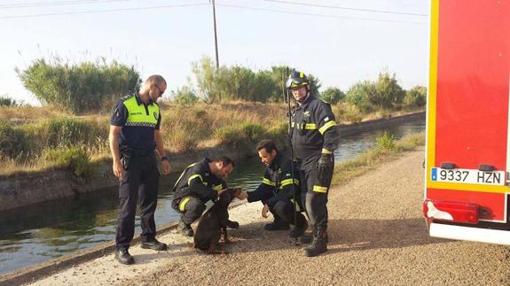 Un policía local y tres bomberos con el perro rescatado ayer. 