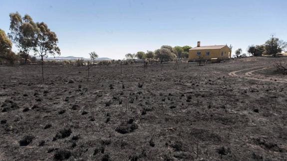 Controlado el incendio de Cáceres que ha asolado casi 2.000 hectáreas
