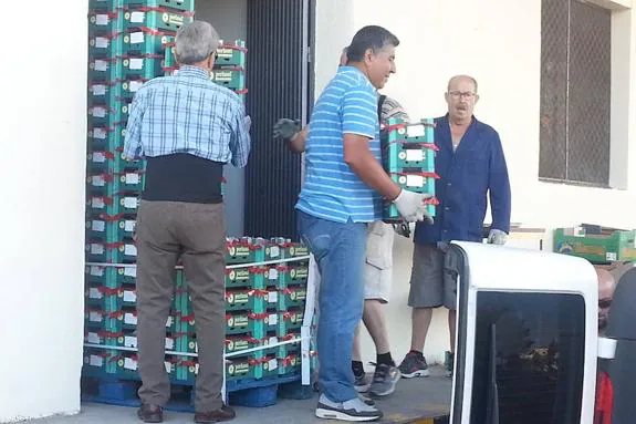 Voluntarios del Banco de Alimentos descargando la fruta . :: hoy