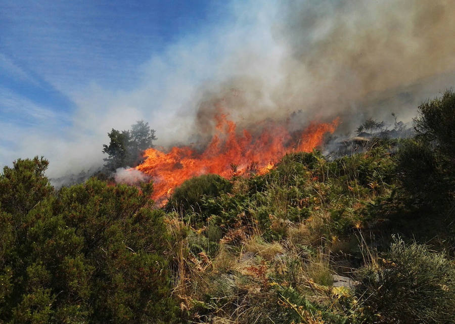 El incendio se localizó en una zona de dificil acceso