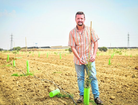 Fernando Trejo en la finca municipal, en la que están plantando olivos, con las placas solares al fondo. 