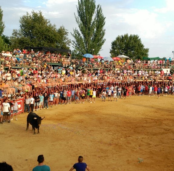 Festejo taurino de las pasadas fiestas. :: s. e.