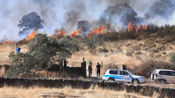 El incendio ha quemado pastos y matorral.