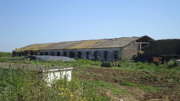 Colonias penitenciarias de Montijo 