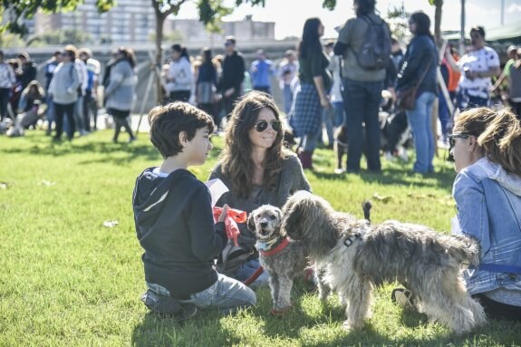 El paseo del río acoge el XVIII concurso de perros sin raza