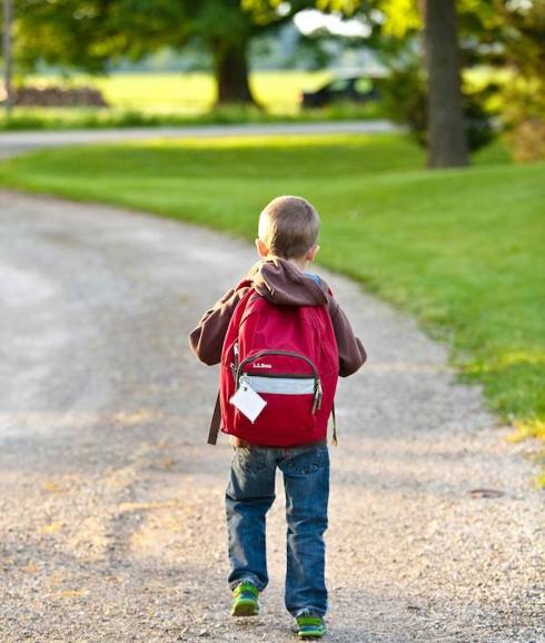 Los beneficios del carrito escolar frente a la mochila