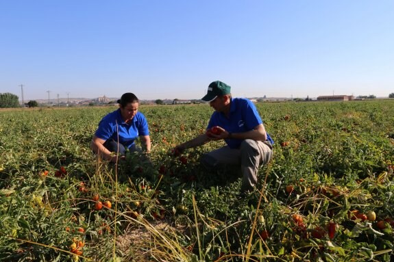 Agricultores extremeños en una finca. :: hoy