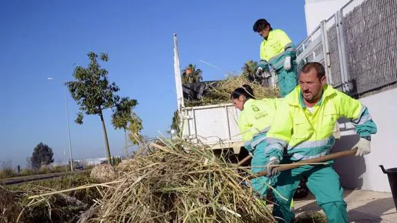 Un grupo de jardineros realiza trabajos de desbroce en un jardín de Badajoz