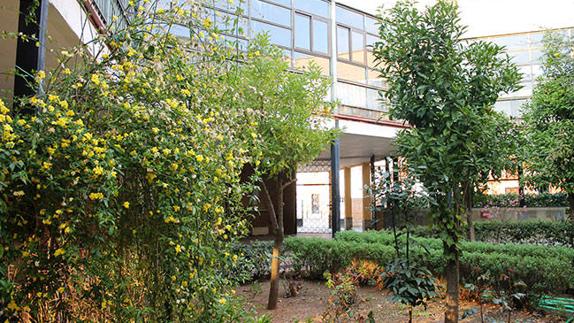 Instalaciones del centro.