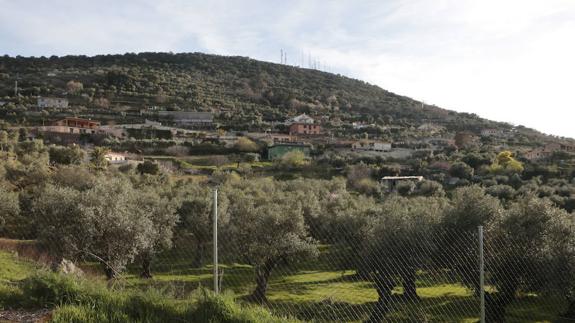 Parte de la finca Viña del Carmen, donde se encuentran las casas sobre las que pesan derribos. :: 