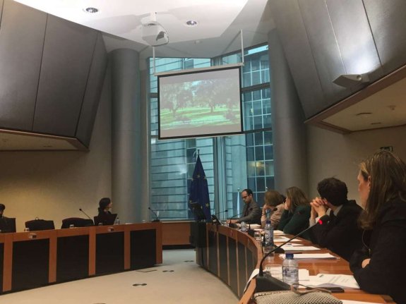 Un momento de la comisión en el Parlamento Europeo, ayer. :: hoy