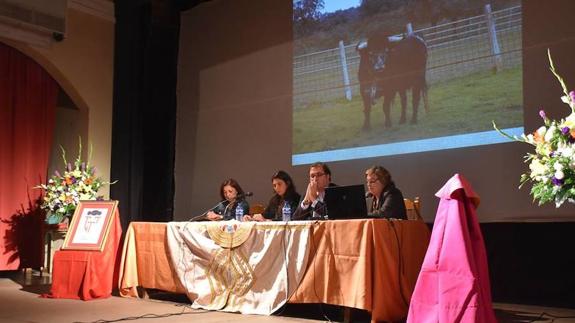 Imagen de archivo de unas jornadas taurinas en Trujillo.: HOY