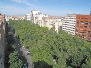 UN JARDÍN BOTÁNICO: Imagen del Paseo de Cánovas con su riqueza arbórea que lo convierte en pulmón natural de Cáceres. /  LORENZO CORDERO.