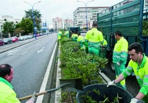 Operarios de Parques y Jardines ayer en J.Sebastián Elcano. ::
PAKOPÍ