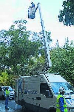 La instalación de las luces comenzó ayer en Cánovas. ::                             A. MACÍAS