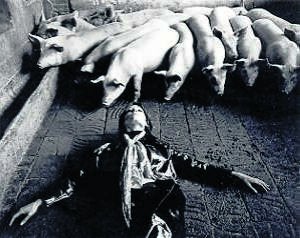 Colita, una mirada libre y divertida