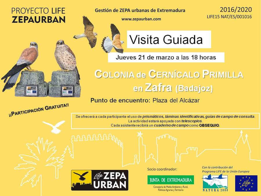 cartel anunciador 