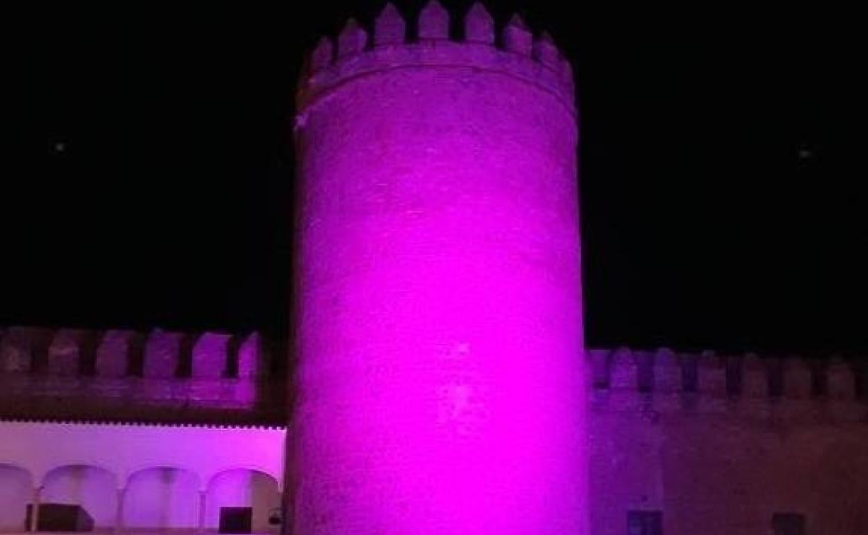 PArador iluminado de rosa 
