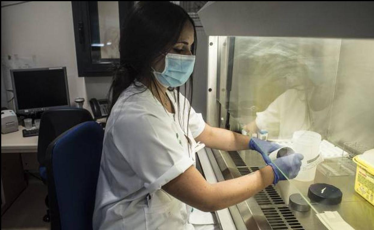 Zafra alcanza en el día de Reyes los 57 casos positivos por coronavirus