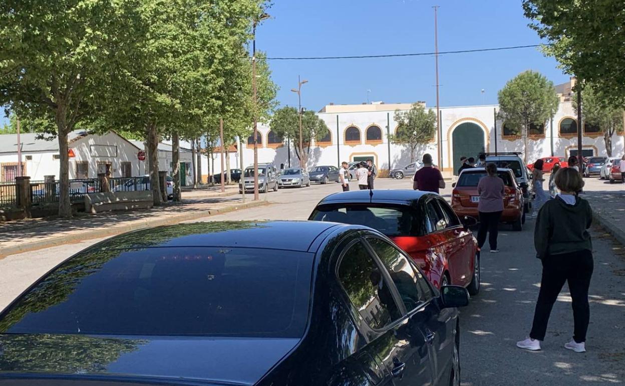 Uno de los cribados masivos realizados este año en el recinto ferial de Zafra 