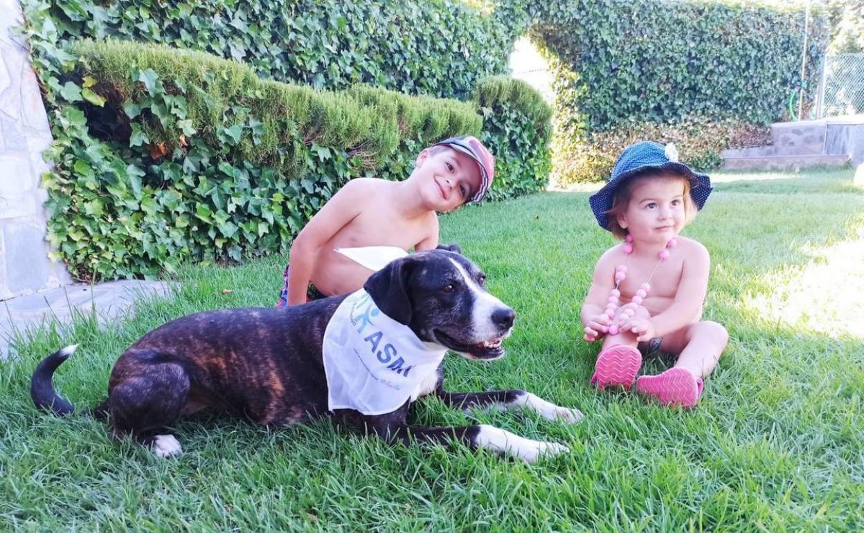 Manuel Leva Labrador y Jenifer Sánchez Ramos ganan el concurso de fotos de ASMI 'Mi mascota y yo'