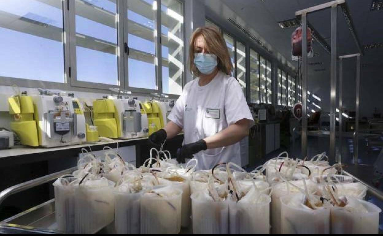La sangre es analizada en el Banco de Sangre de Extremadura 