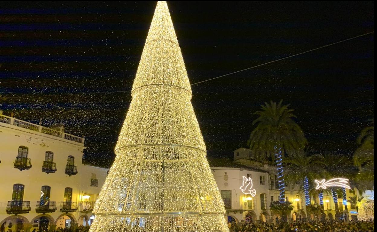 El árcol que luce en la Plaza GRande se encenderá por Navidad 