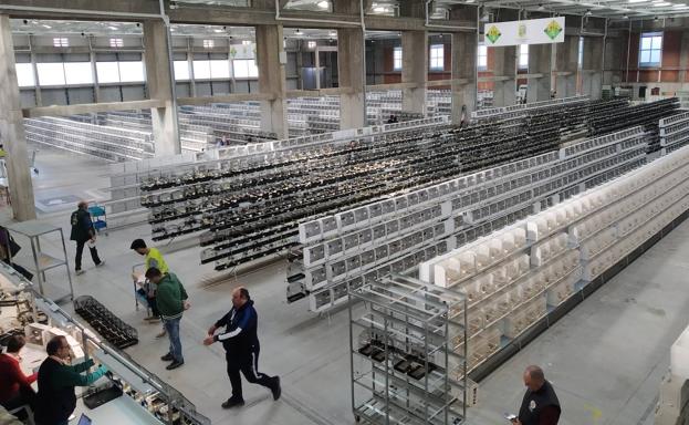 Ya está todo preparado en el pabellón Felipe VI del recinto ferial 