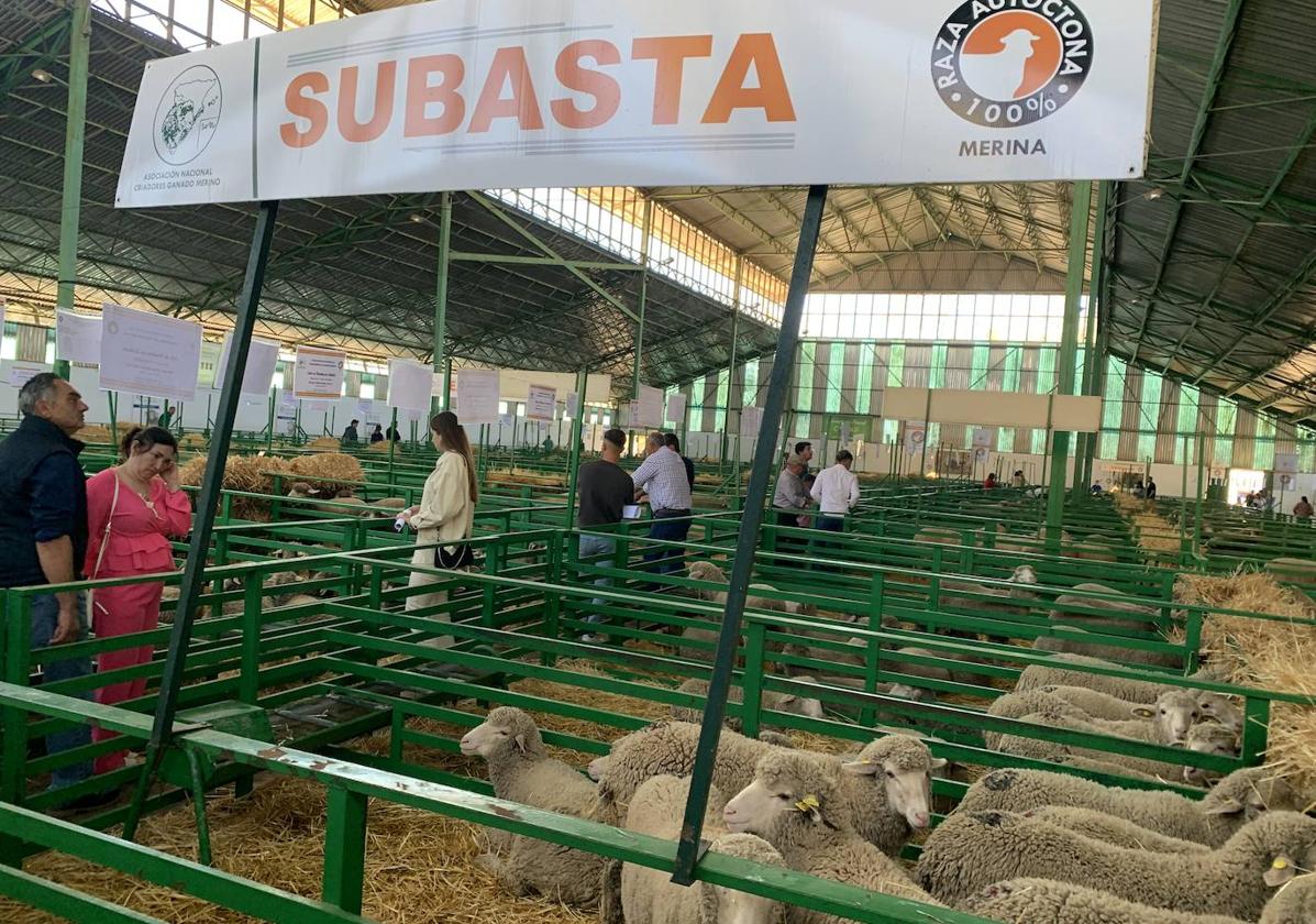 Distintas actividades confluyeron el sábado de la Feria de Primavera
